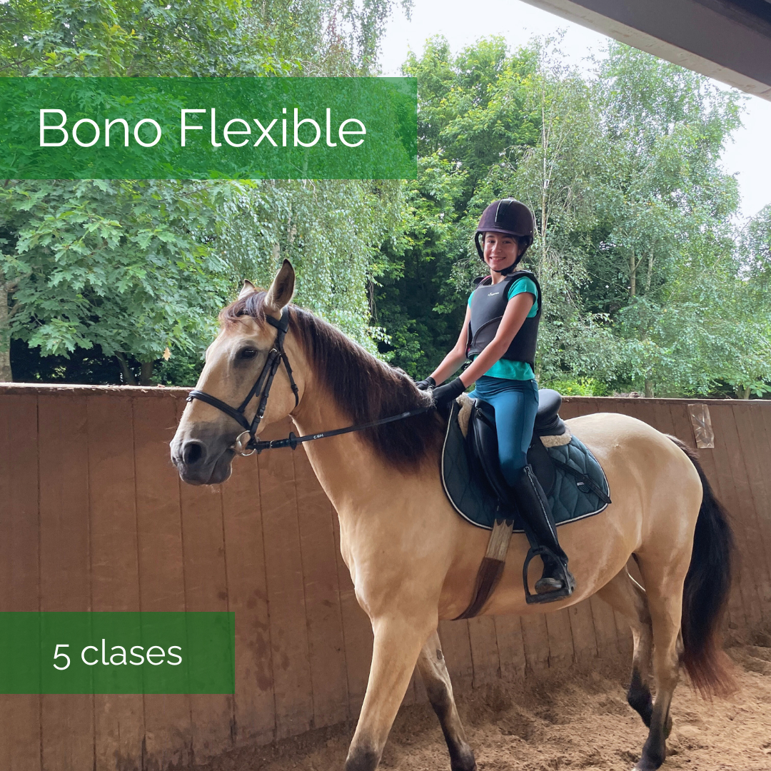 Bono de 10 clases de equitaci贸n en Lasarte