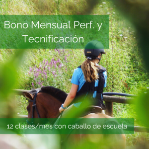 Bono Mensual Perfeccionamiento y Tecnificación - 12 clases al mes (con caballo de escuela)