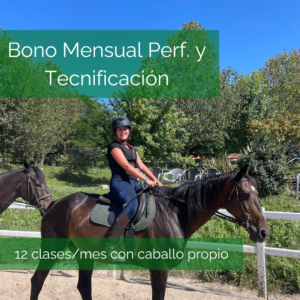 Clases de equitación salto y doma en Donosti