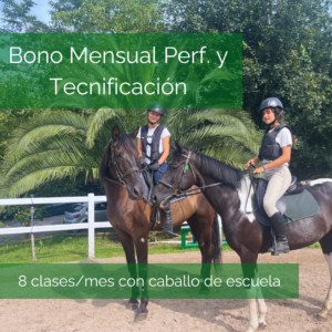 Clases de equitación salto y doma en Donosti