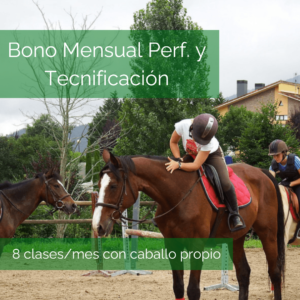 Bono Mensual Perfeccionamiento y Tecnificación - 8 clases al mes (con caballo propio)