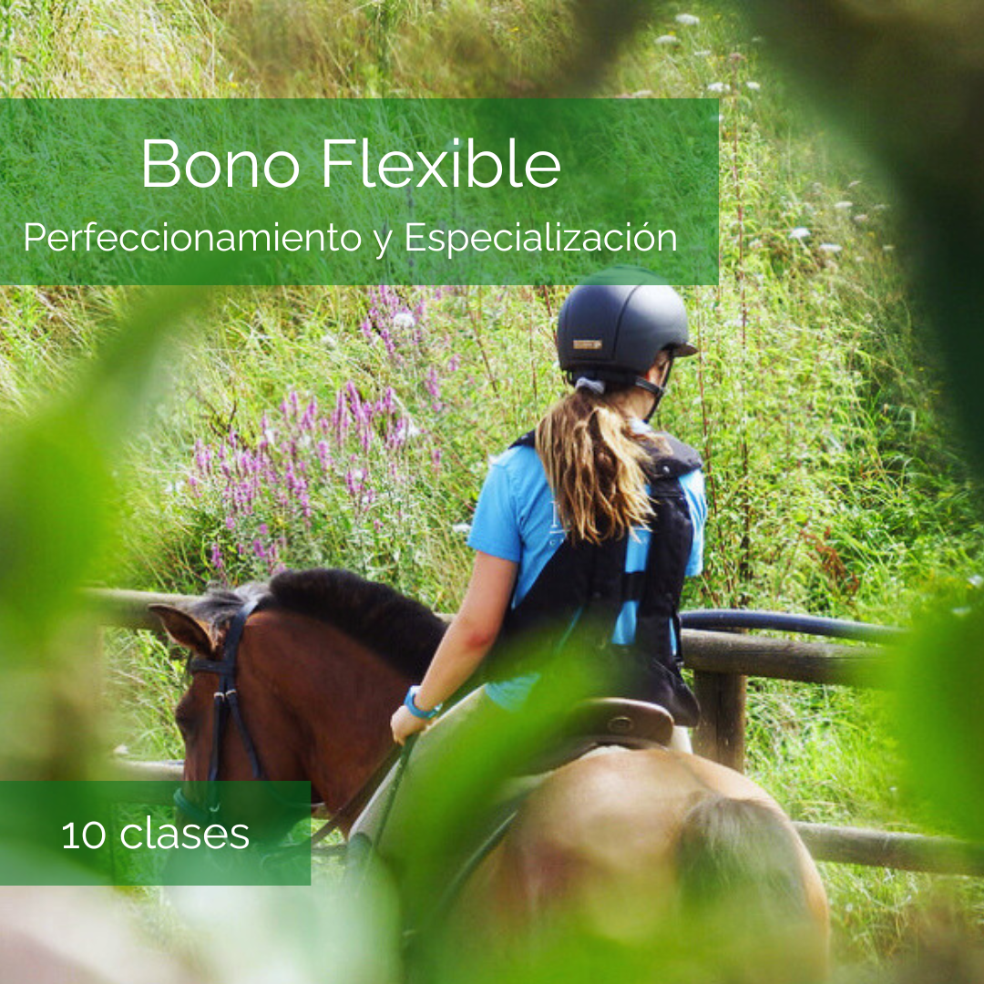 Bono de 10 Clases de Equitaci贸n- Perfeccionamiento y Especializaci贸n